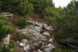 2011-04-24_Regina-F-Rau_Brunnstein-Spitze (095).JPG